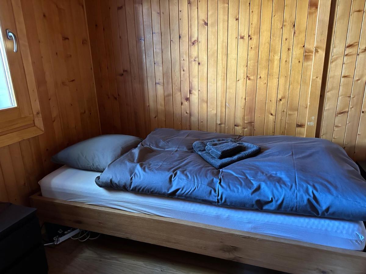 Chalet Edelweiss A Saint-Martin, Val D'Herens المظهر الخارجي الصورة